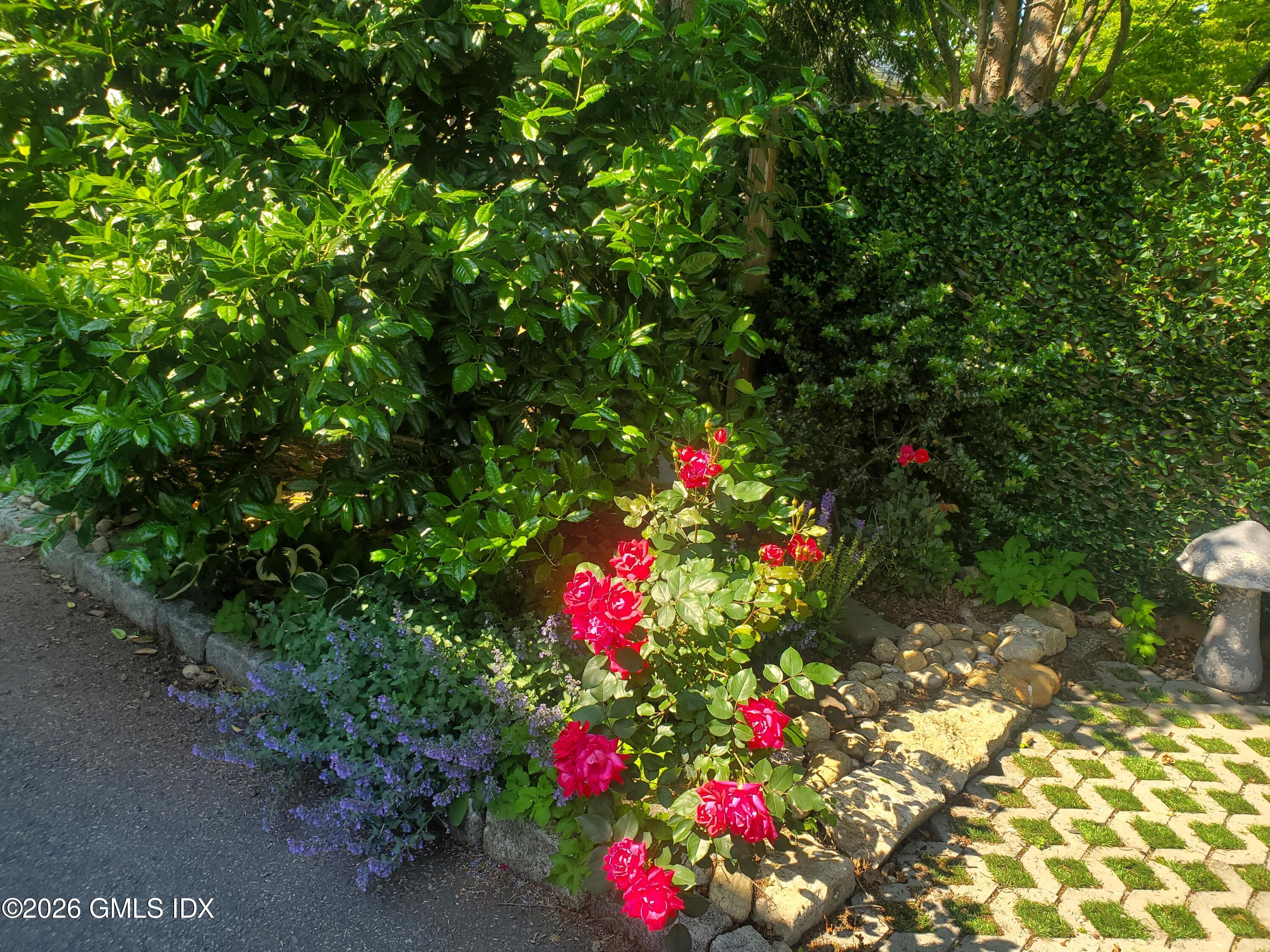 92 Valley Road, Unit B Cos Cob, CT 06807 - Photo 33 of 46 20250604_154930