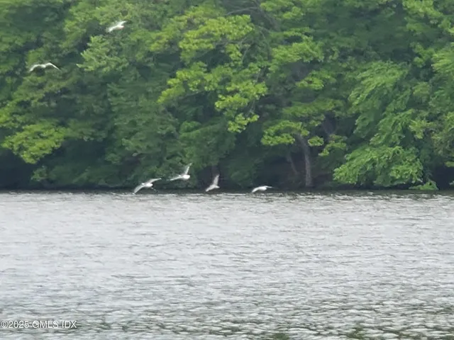 $7,850 | 92 Valley Road, Unit B, Cos Cob, CT 06807