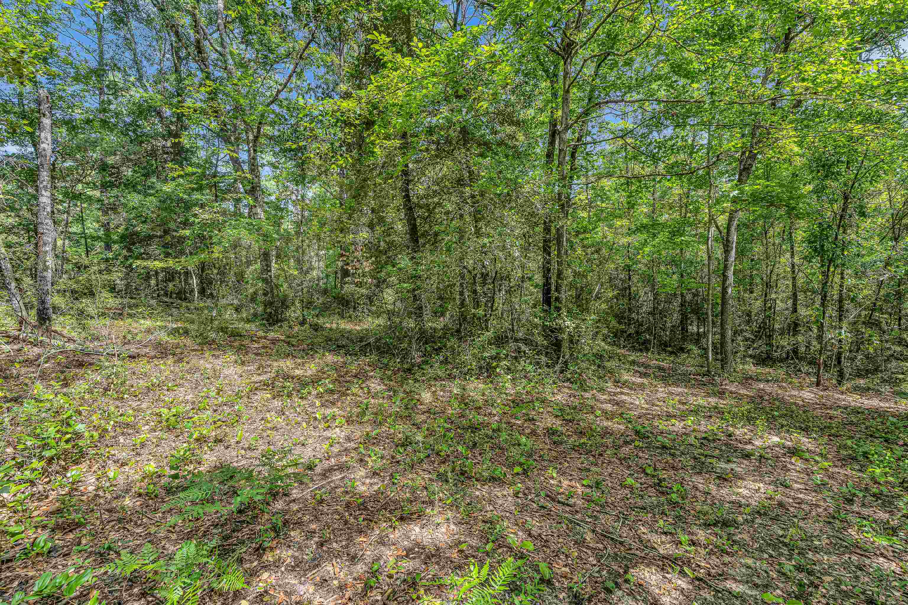 39 County Road 39 Stapleton, AL 36578 - Photo 12 of 16 View