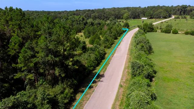 a view of a yard with plants