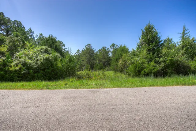 a view of a lush green space