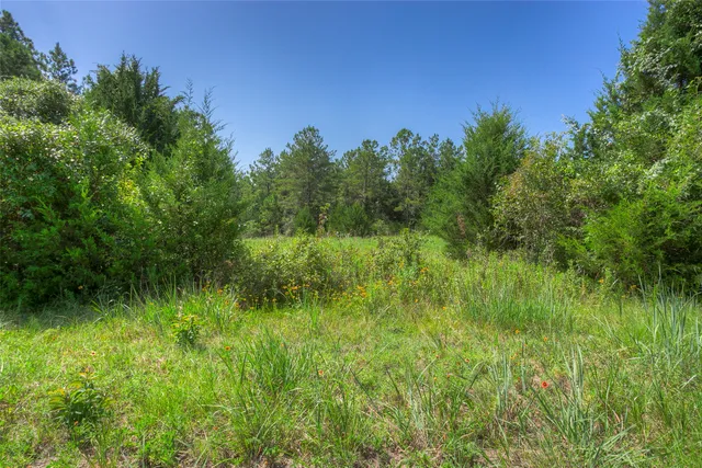 a view of a lake view with a yard