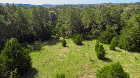 $275,000 | Tbd Tbd Hilltop Lane, Huntsville, TX 77320