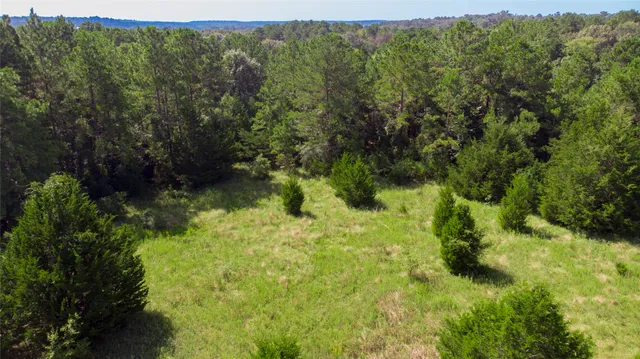 a view of a lush green forest with trees and a houses