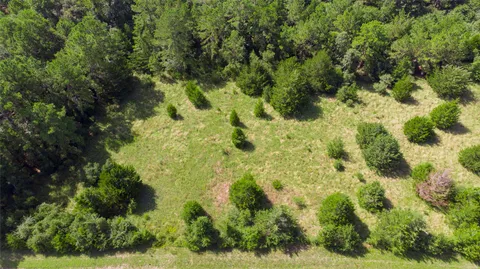 $275,000 | Tbd Tbd Hilltop Lane, Huntsville, TX 77320