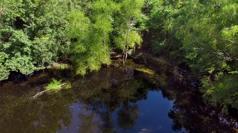 $275,000 | Tbd Tbd Hilltop Lane, Huntsville, TX 77320