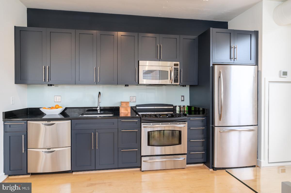 2125 14th Street Northwest, Unit 214 Washington, DC 20009 - Photo 13 of 24 Fisher & Paykel double dishdrawer