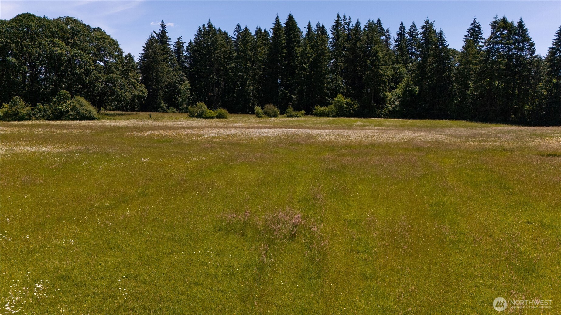 0 Spencer Road Toledo, WA 98591 - Photo 5 of 15