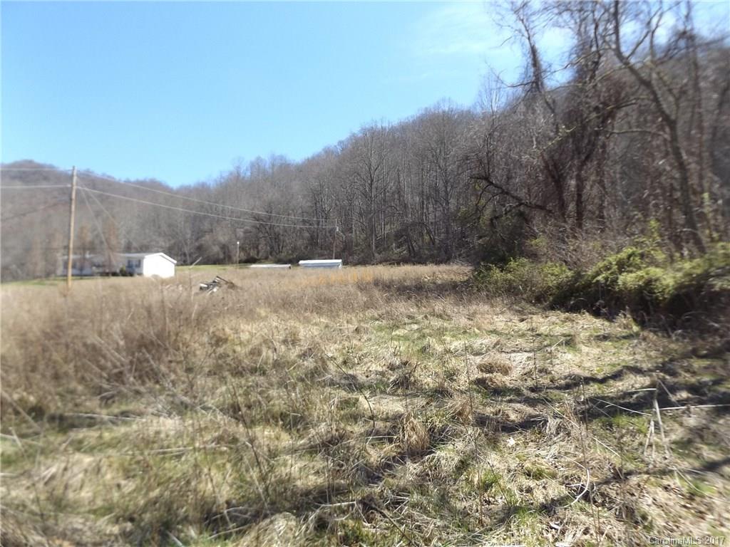 502 Wilson Cove Road Canton, NC 28716 - Photo 12 of 18 a view of an outdoor space and a yard