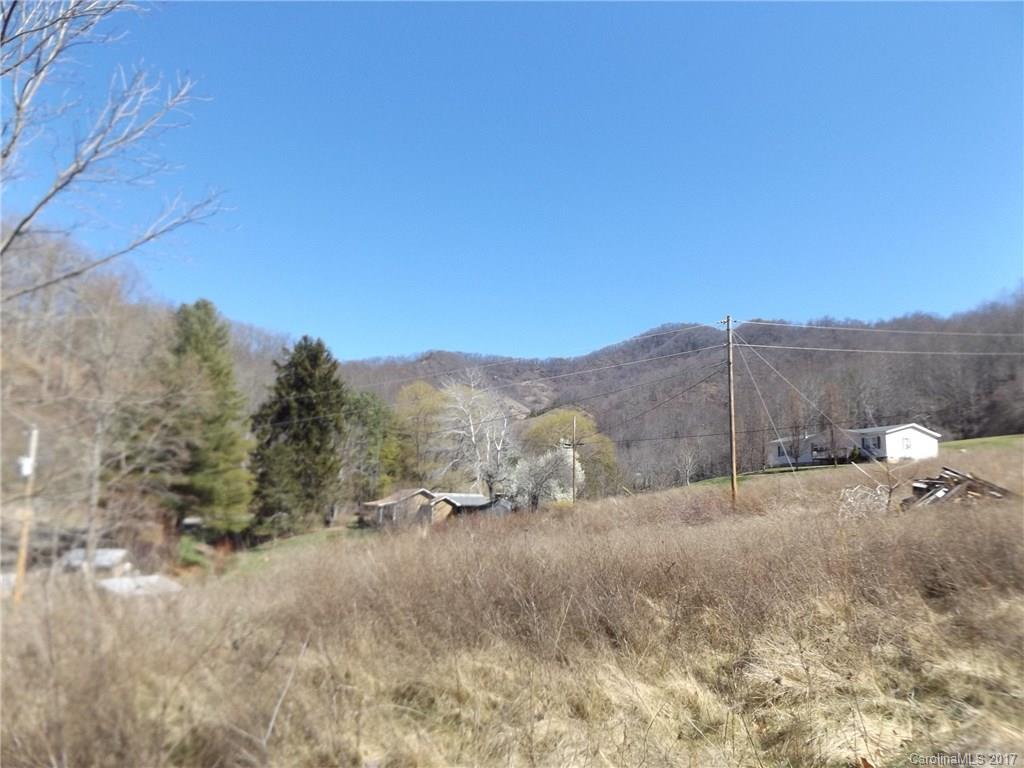 502 Wilson Cove Road Canton, NC 28716 - Photo 10 of 18 a view of a dry yard with mountain