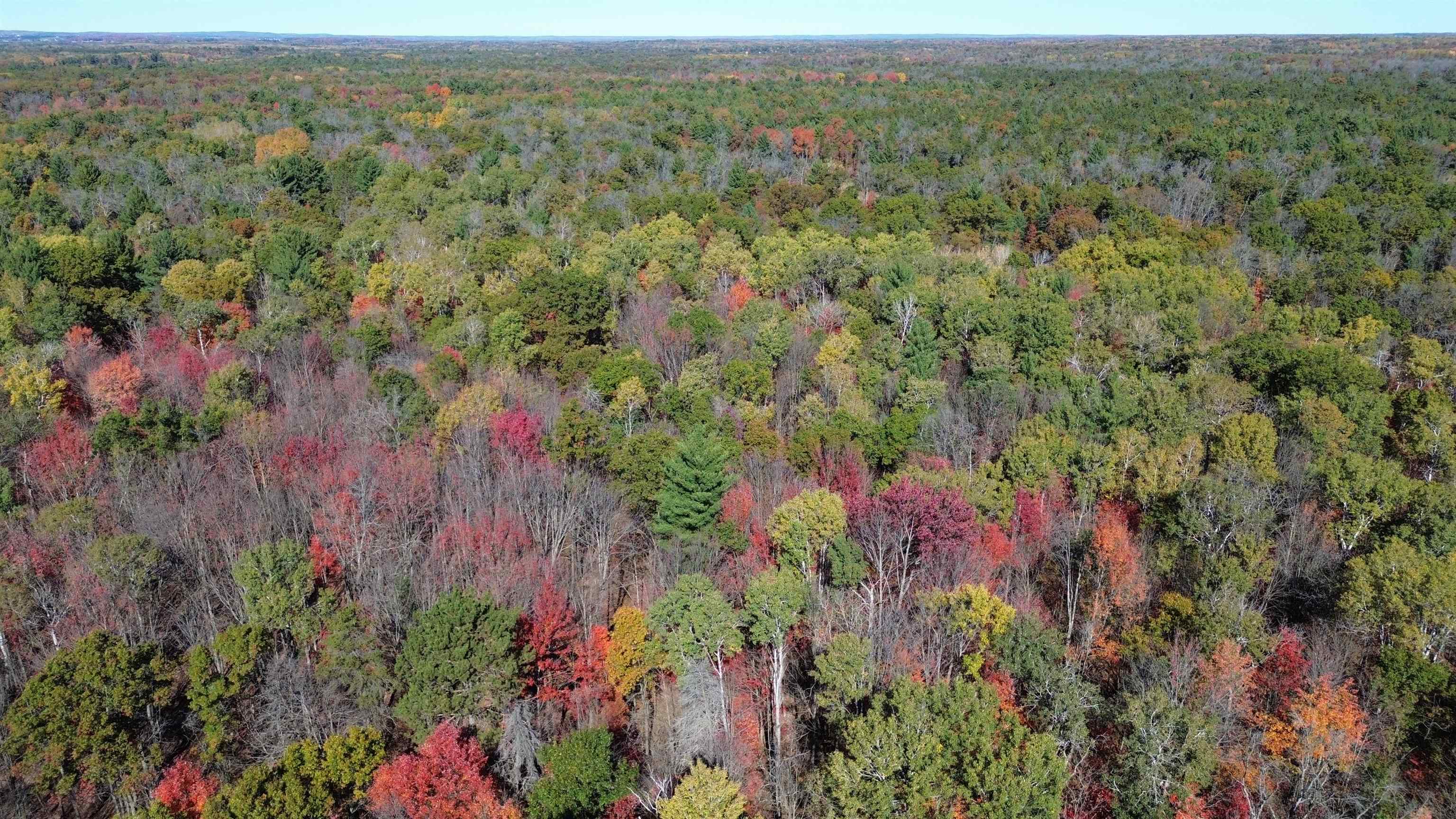 0 Timber Trail Prescott, MI 48756 - Photo 22 of 44