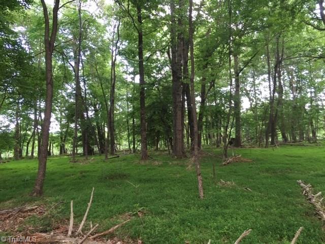 Tbd Tbd Poplar Springs Road State Road, NC 28676 - Photo 3 of 5 Gallery Image 3