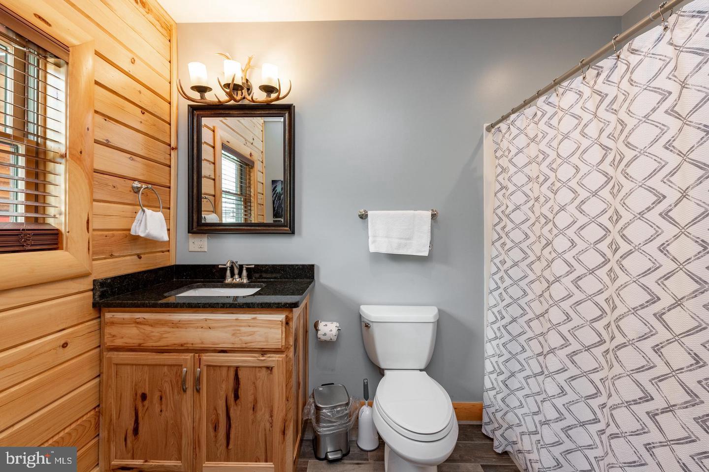 260 Biltmore Rdg Trail McHenry, MD 21541 - Photo 22 of 56