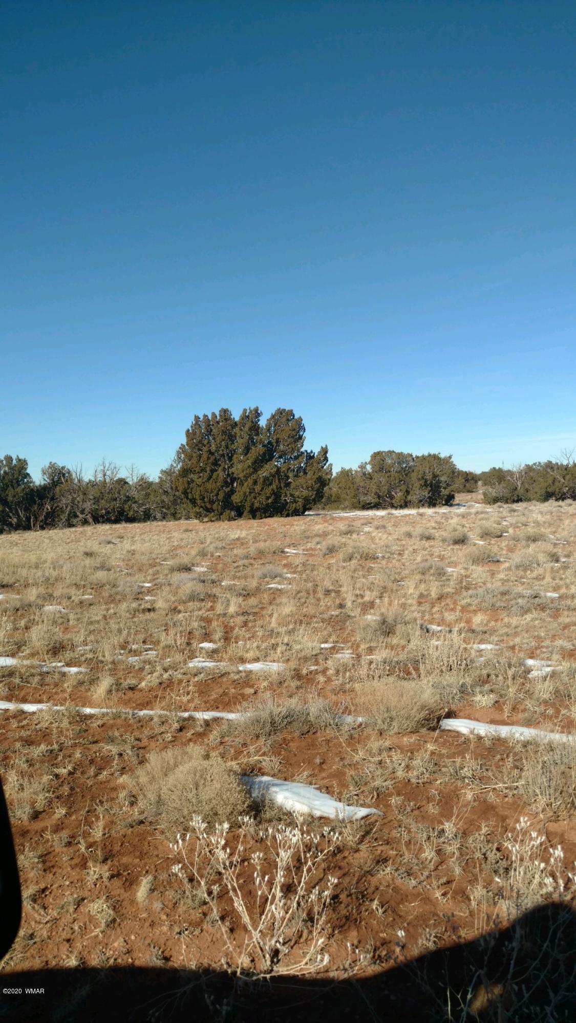 5966 Blaine Road Heber, AZ 85928 - Photo 1 of 3 Gallery Image 1