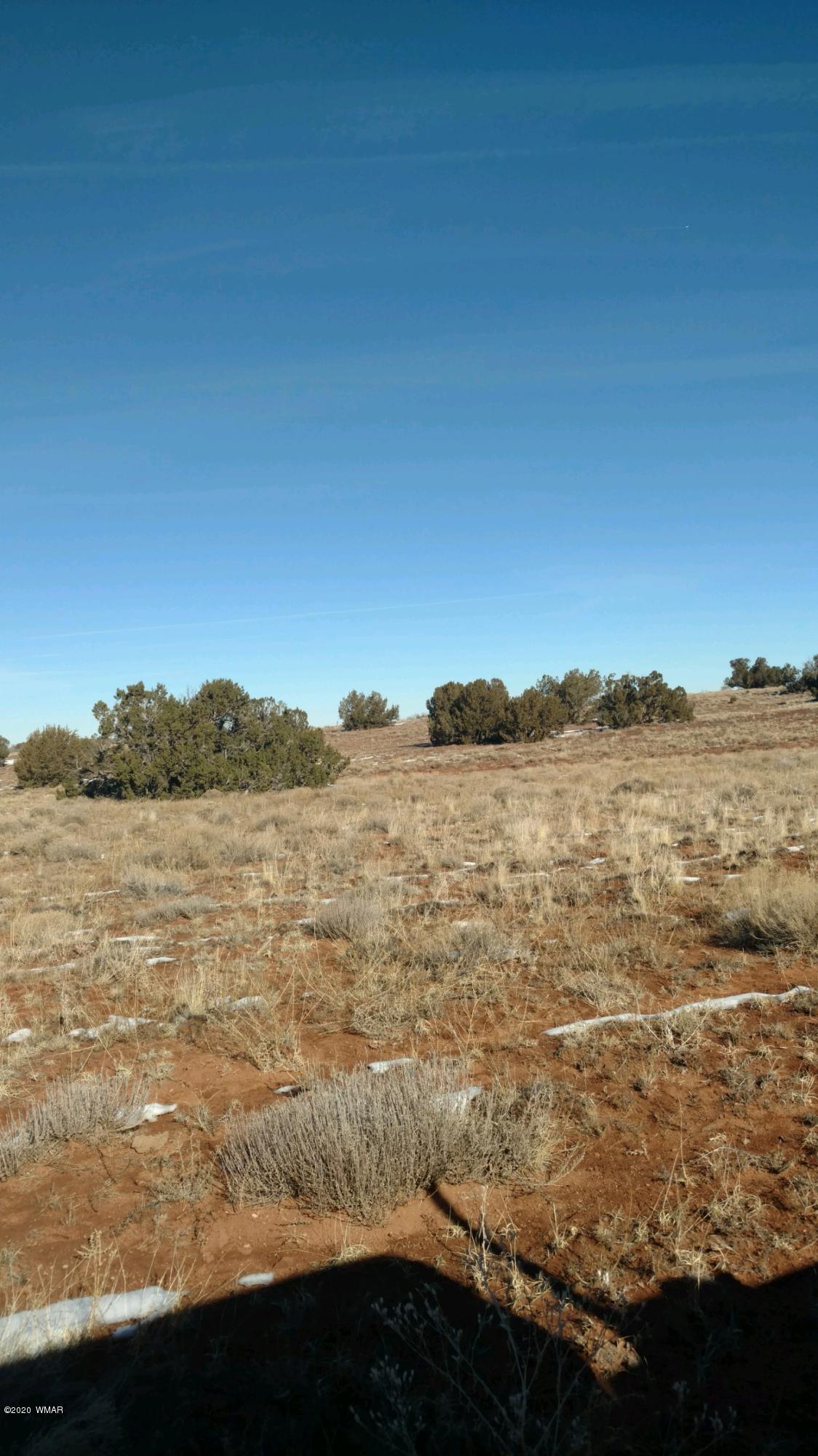 5966 Blaine Road Heber, AZ 85928 - Photo 3 of 3 Gallery Image 3