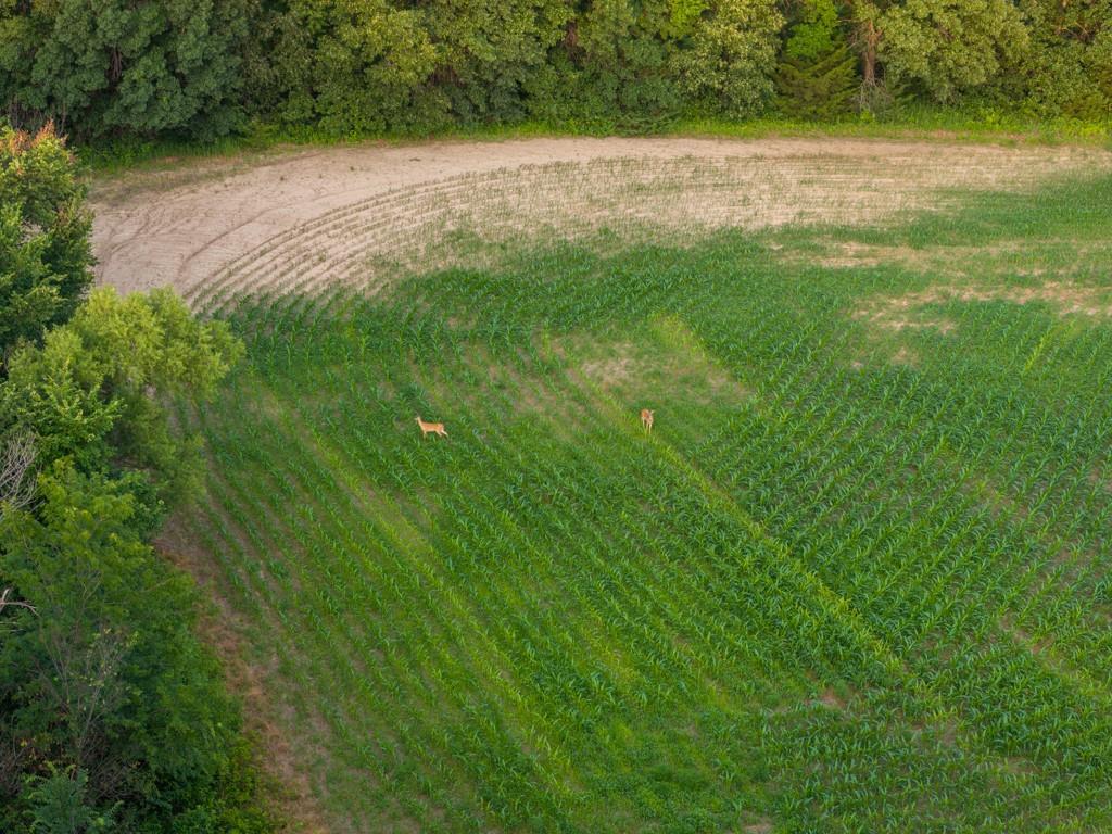 Northeast Marshall Road Hamilton, MO 64644 - Photo 20 of 45