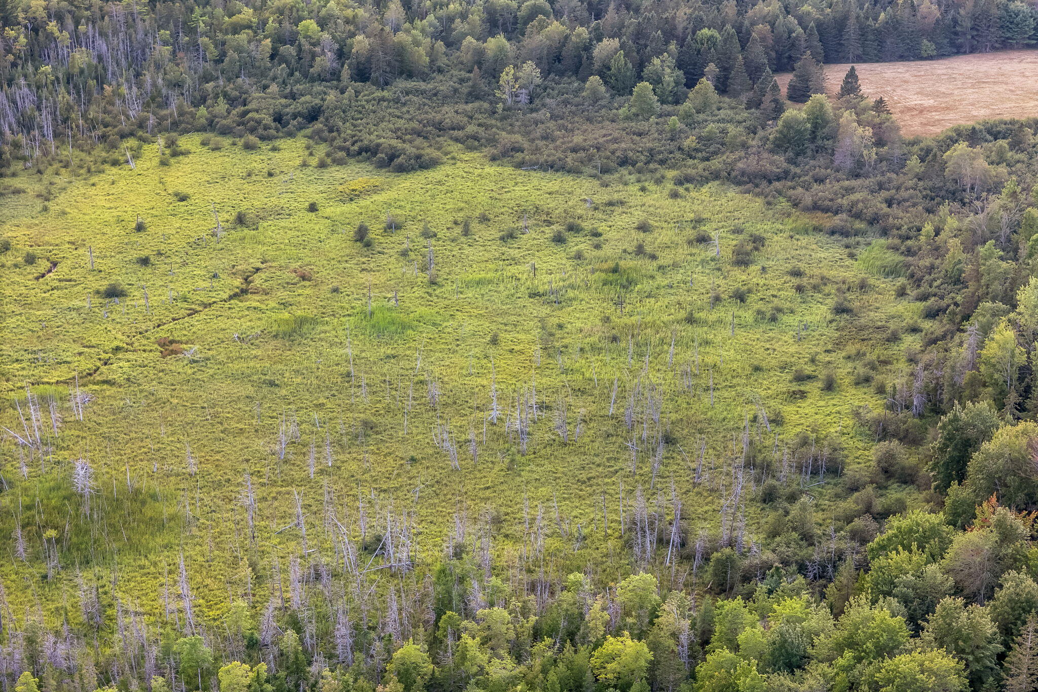 130 Town Farm Road Bucksport, ME 04416 - Photo 6 of 38 8-web-or-mls-130-town-farm-rd