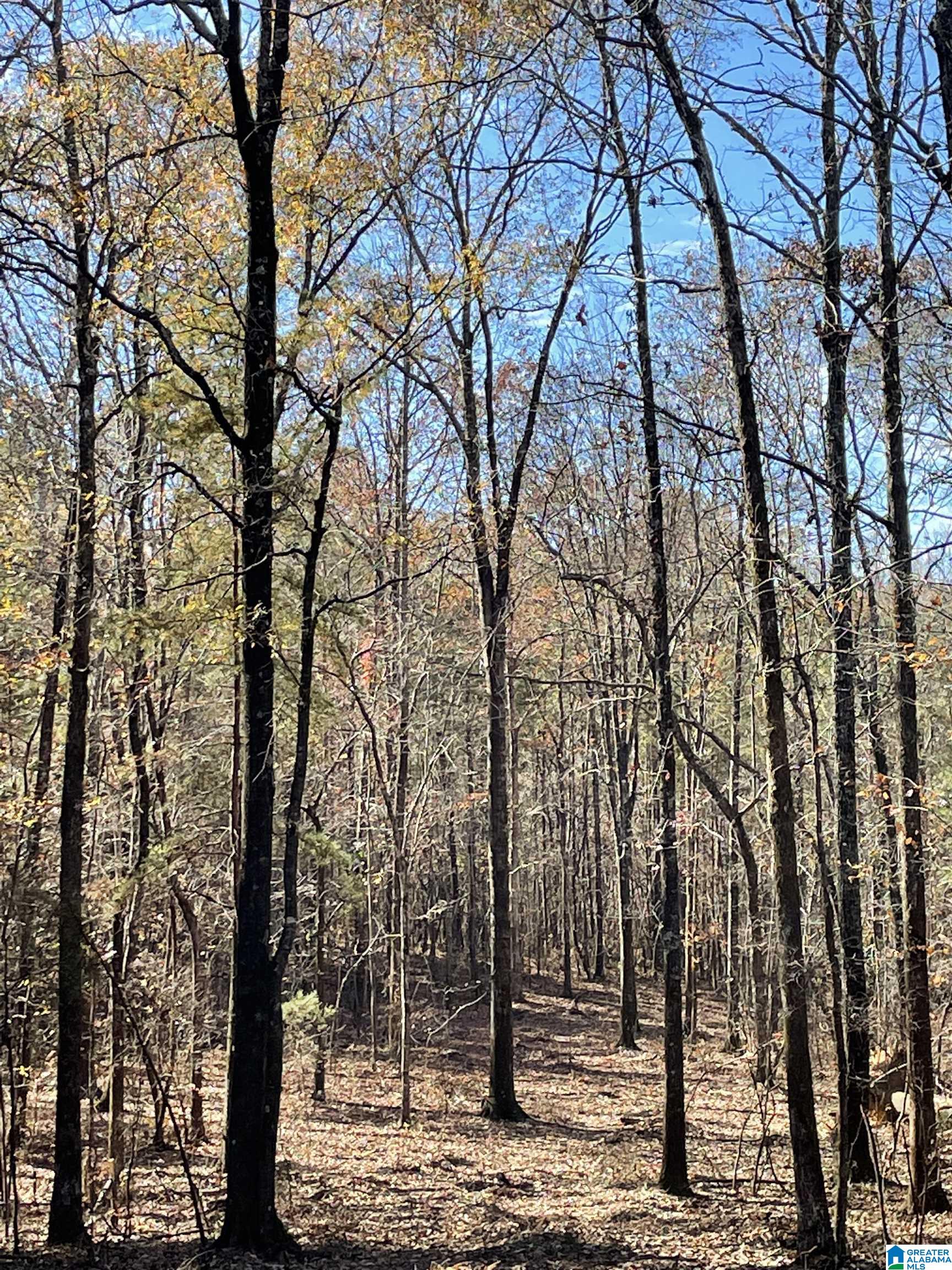 357 Ronbar Road, Unit 3 Columbiana, AL 35051 - Photo 2 of 6