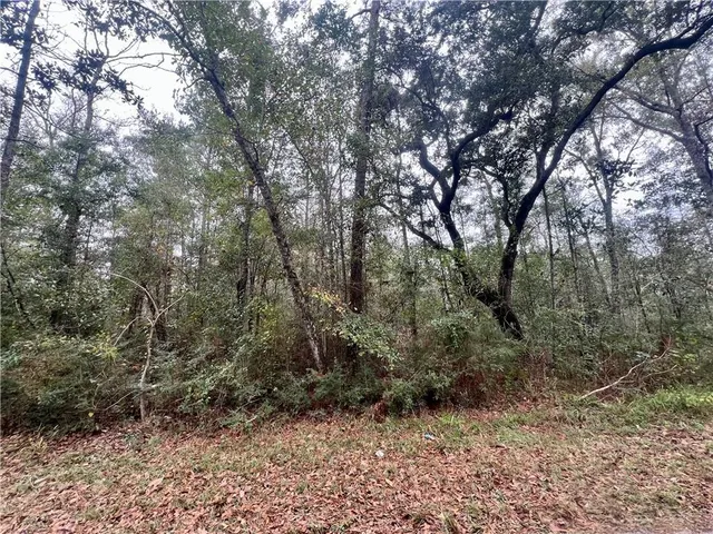 $35,000 | Lot 339 North A N Oaklawn Drive, Lacombe, LA 70445