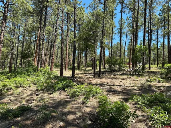 a view of a city with mountain