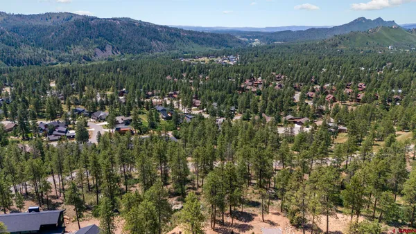 a view of a yard with a trees