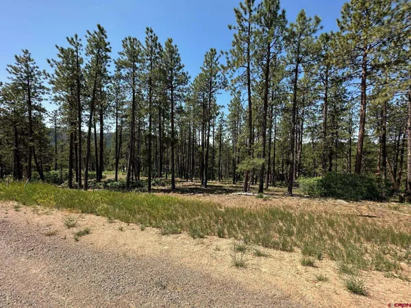 a view of backyard of the house