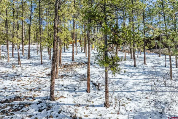 a view of a garden with an outdoor space