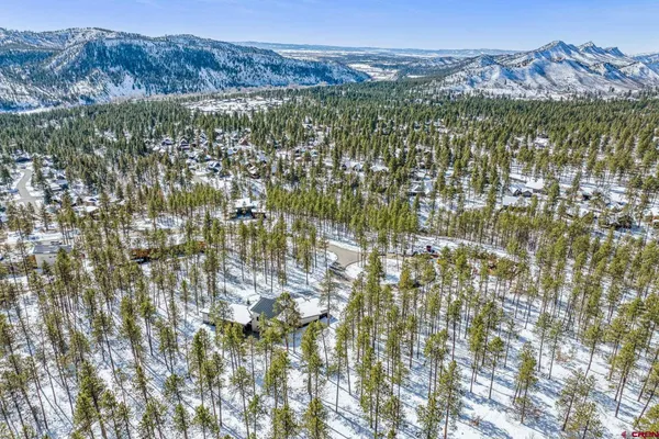 a view of outdoor space with lots of trees