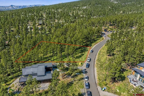 a view of a yard with plants