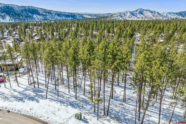 a view of a yard with trees