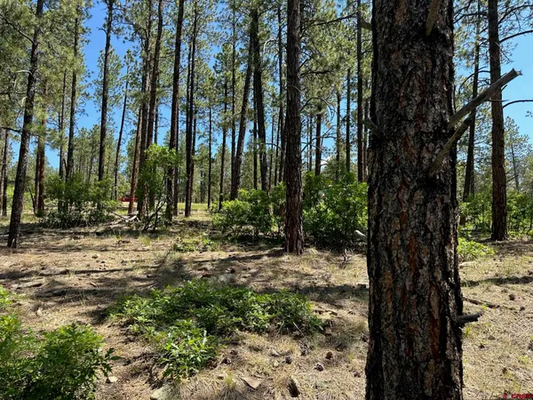a view of a pathway with a yard of the house