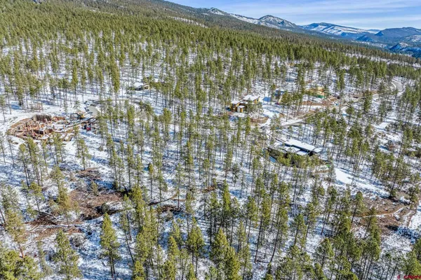 a view of a yard with trees