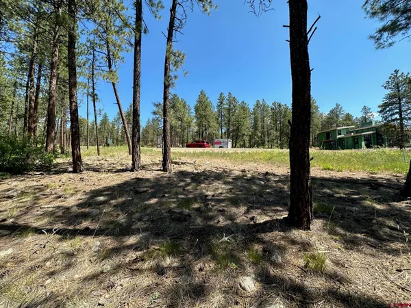 $320,000 | 1067 Red Canyon Trail, Durango, CO 81301