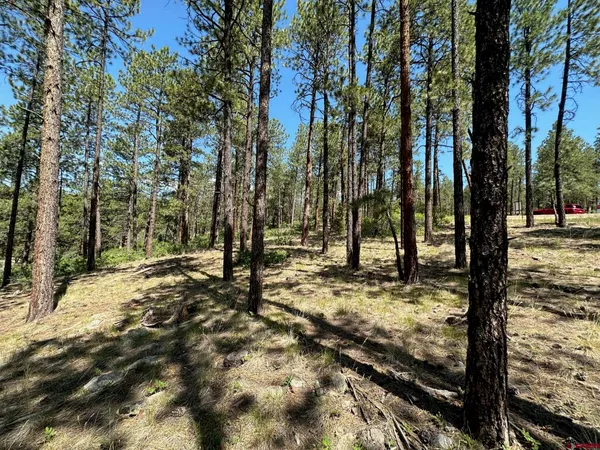 $320,000 | 1067 Red Canyon Trail, Durango, CO 81301