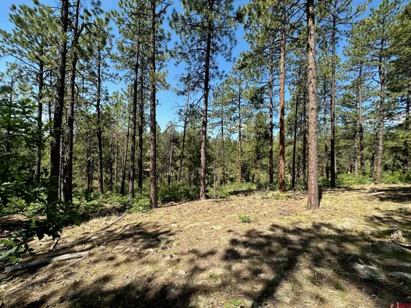 $320,000 | 1067 Red Canyon Trail, Durango, CO 81301