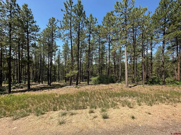 $320,000 | 1067 Red Canyon Trail, Durango, CO 81301