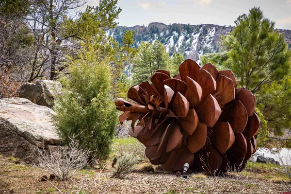 a view of a lush green forest with lush green forest