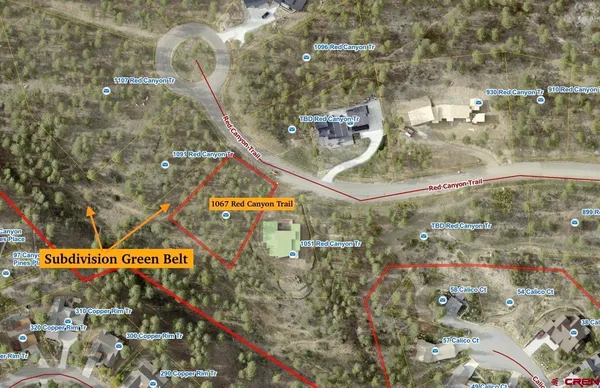 a view of a park with large trees