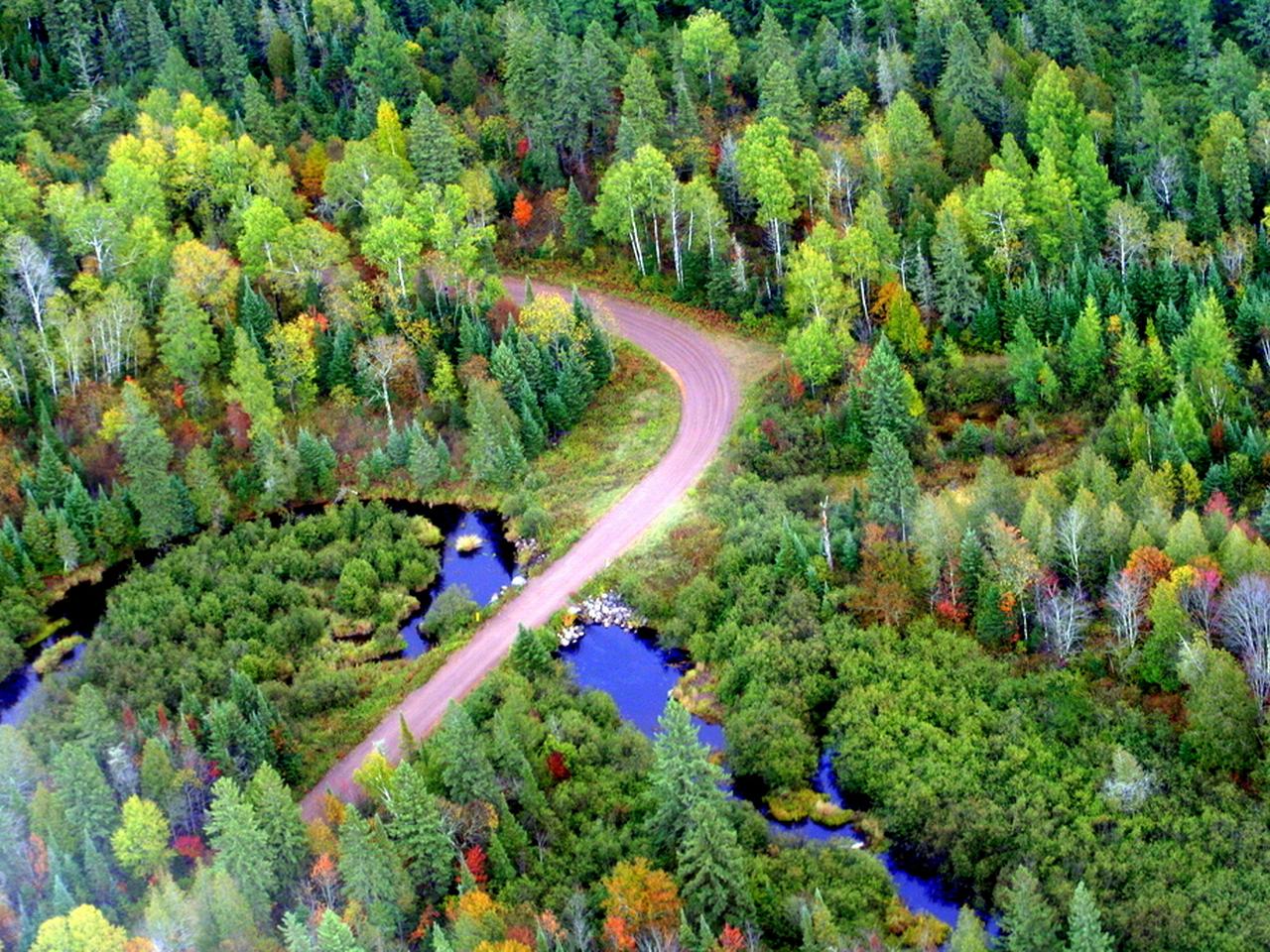 4394 Forest Wonder Road Mercer, WI 54547 - Photo 18 of 79 Gallery Image 18