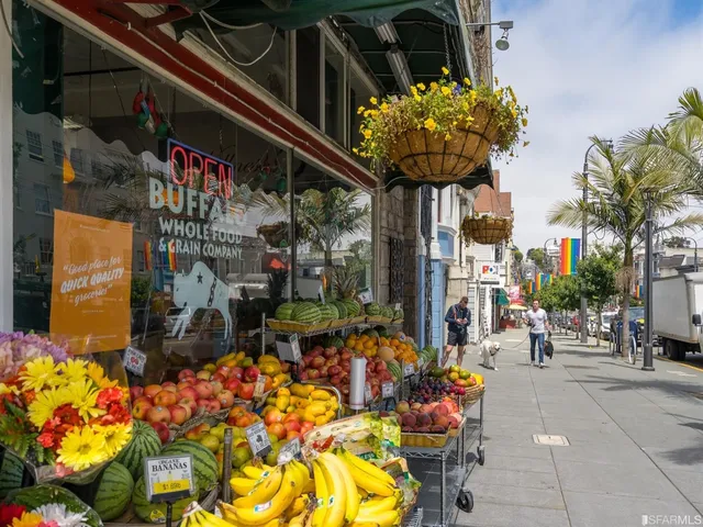 a store filled with lots of different kinds of flowers