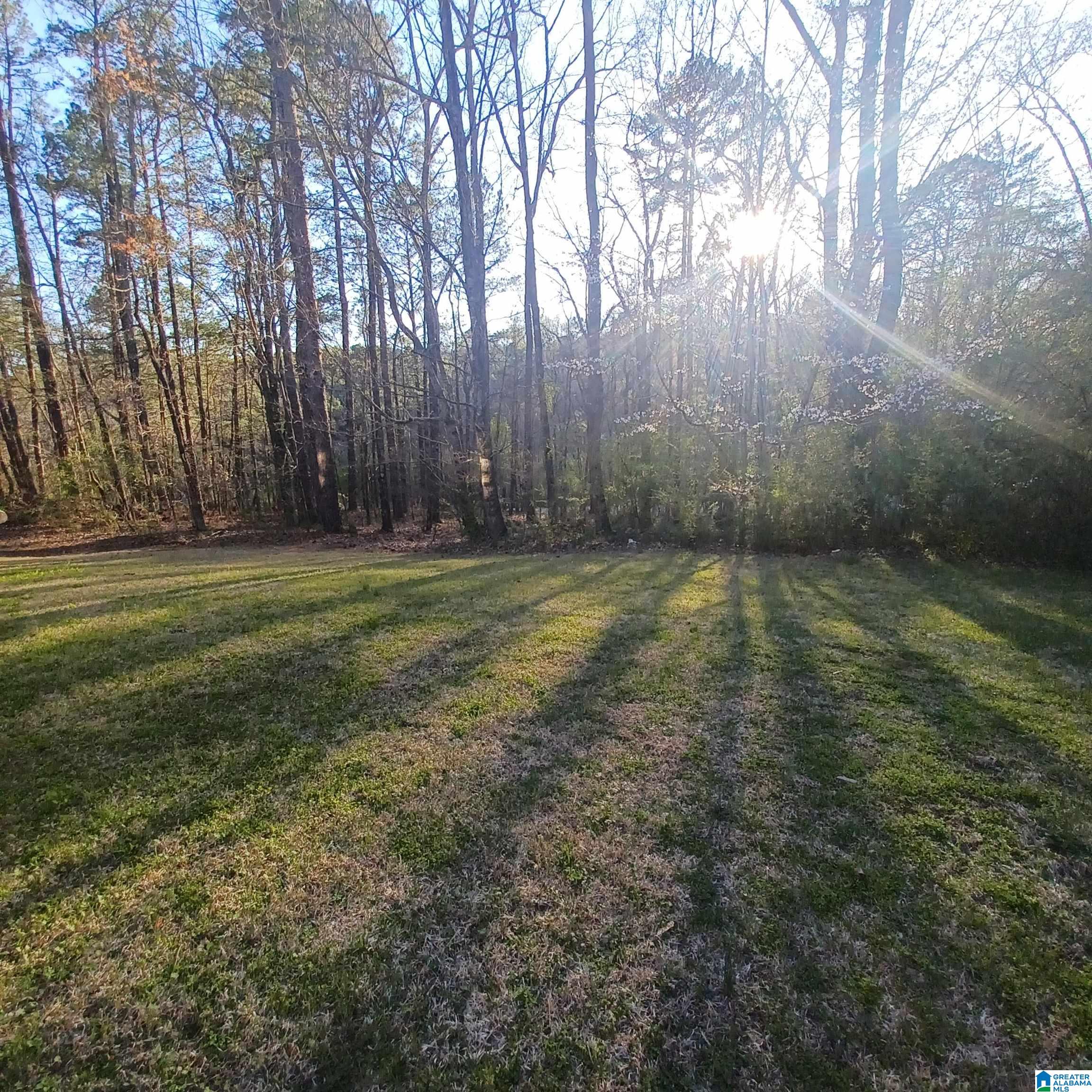 7459 15th Street Road Bessemer, AL 35023 - Photo 14 of 97 Gallery Image 14