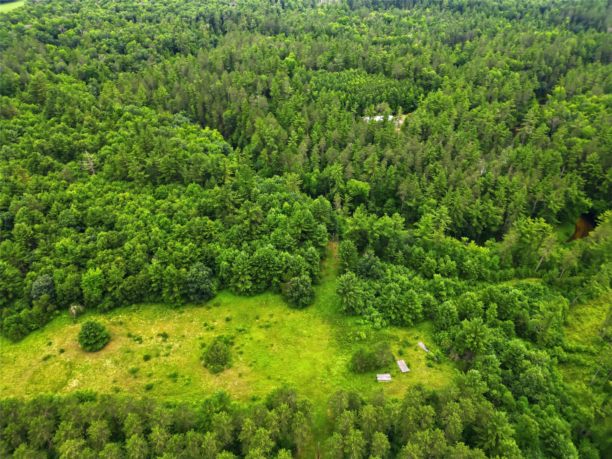 0 West Road Black River Falls, WI 54615 - Photo 24 of 43