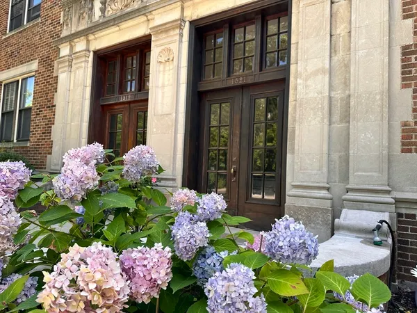 a pink flowers in front of the house