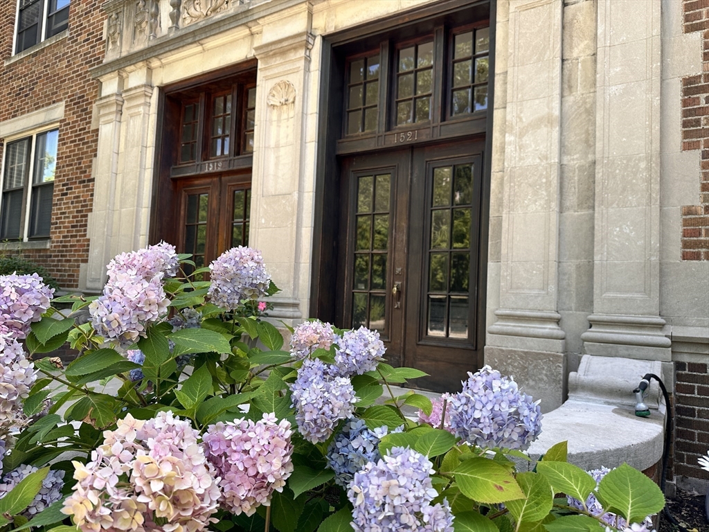 a pink flowers in front of the house