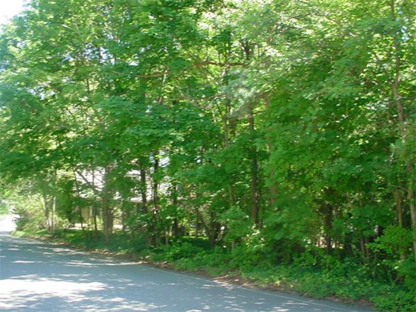 400 Old Post Road Walpole, MA 02081 - Photo 2 of 7 Gallery Image 2