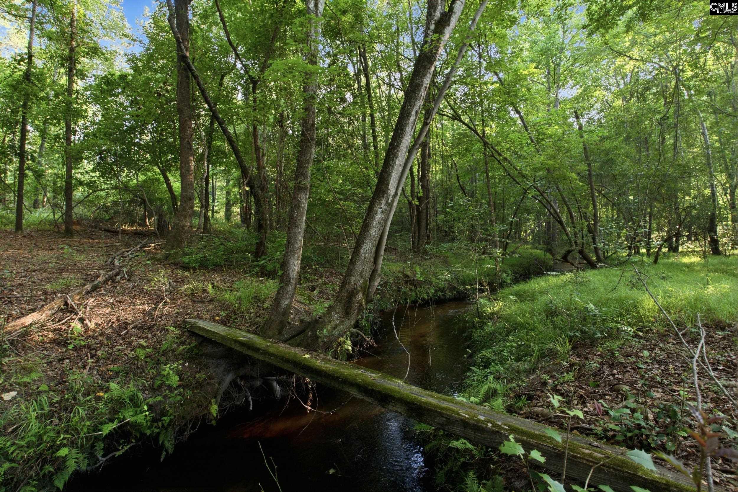 3390 State Rd S-28-496 Kershaw, SC 29067 - Photo 24 of 26