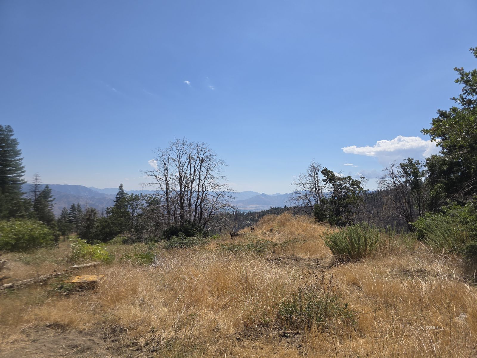 0 Old State Road Wofford Heights, CA 93285 - Photo 3 of 10
