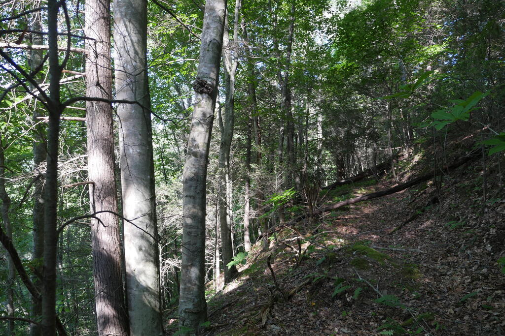 4163 Lick Creek Road Birchleaf, VA 24220 - Photo 45 of 86 Gallery Image 45