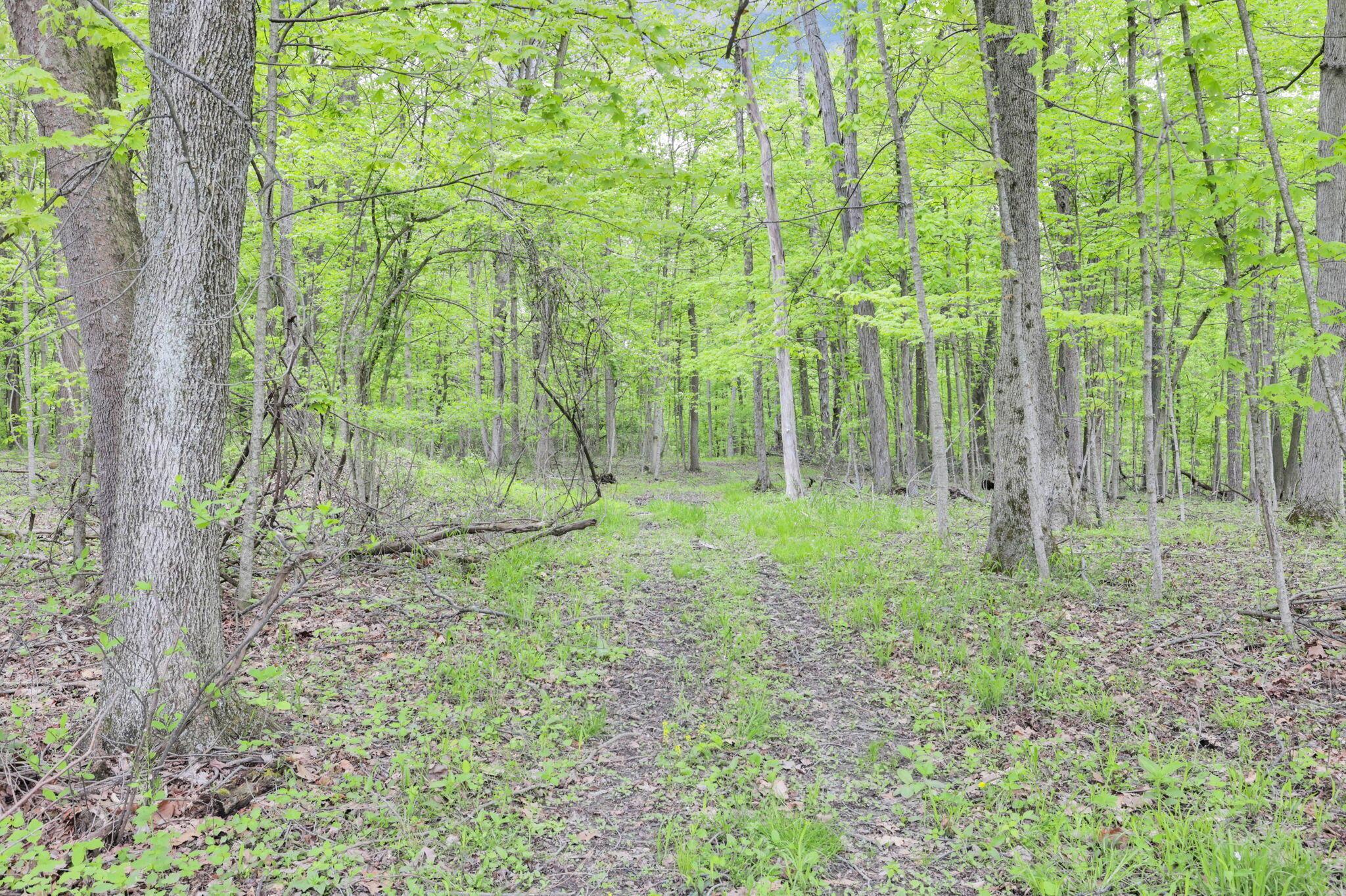 7247 Liberty Church Road Johnstown, OH 43031 - Photo 74 of 79