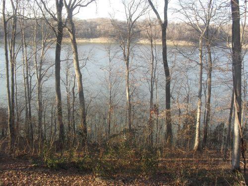 351 Mystic View Road Monticello, KY 42633 - Photo 12 of 35 SAM_4454